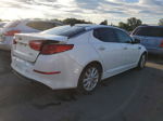 2014 Kia Optima Ex White vin: 5XXGN4A77EG313619