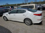 2015 Kia Optima Ex Белый vin: 5XXGN4A77FG472660