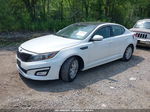 2015 Kia Optima Ex Белый vin: 5XXGN4A79FG450384