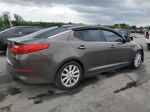 2014 Kia Optima Ex Brown vin: 5XXGN4A7XEG269972