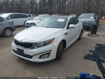 2015 Kia Optima Sx Turbo Белый vin: 5XXGR4A61FG408285