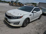 2015 Kia Optima Sx Белый vin: 5XXGR4A62FG376981