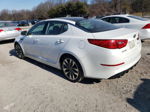 2014 Kia Optima Sx Белый vin: 5XXGR4A66EG265803