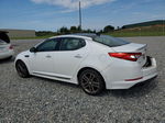 2013 Kia Optima Sx White vin: 5XXGR4A67DG116153