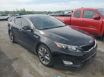 2015 Kia Optima Sx Черный vin: 5XXGR4A69FG458688