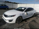 2014 Kia Optima Sx Белый vin: 5XXGR4A74EG288621