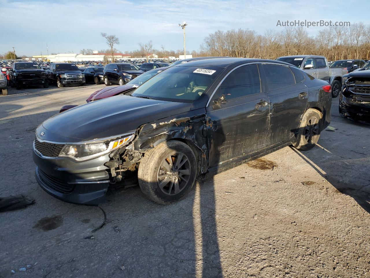 2016 Kia Optima Lx Серый vin: 5XXGT4L30GG028053