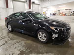 2016 Kia Optima Lx Black vin: 5XXGT4L31GG023234