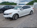 2016 Kia Optima Lx White vin: 5XXGT4L31GG027641