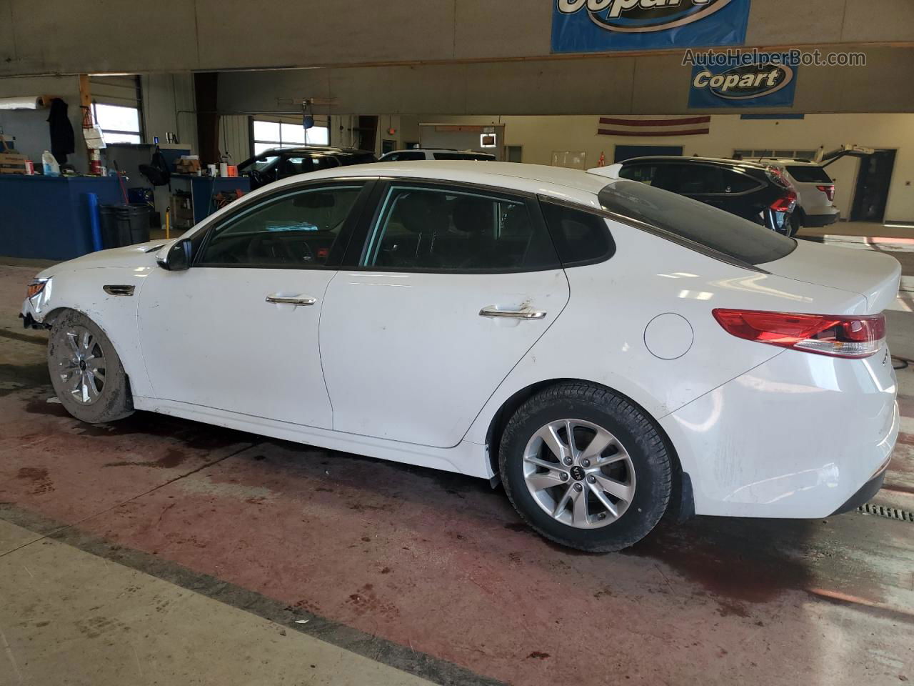 2016 Kia Optima Lx White vin: 5XXGT4L31GG069453