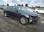 2017 Kia Optima Lx Gray vin: 5XXGT4L31HG141155