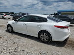 2016 Kia Optima Lx White vin: 5XXGT4L34GG056311