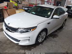 2016 Kia Optima Lx White vin: 5XXGT4L34GG059211