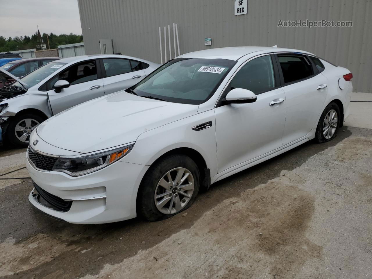 2016 Kia Optima Lx White vin: 5XXGT4L36GG111065