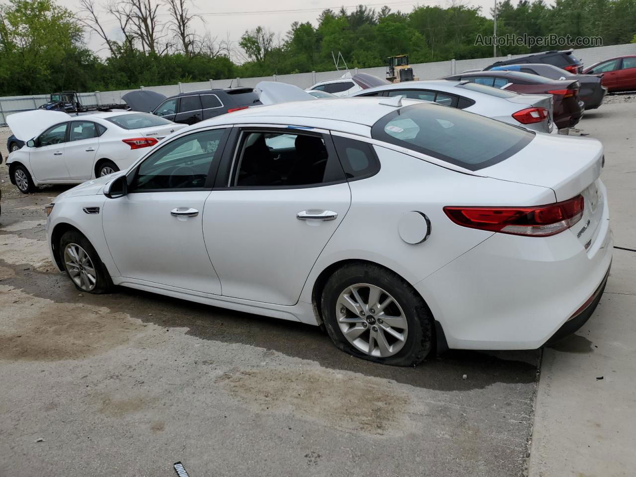 2016 Kia Optima Lx White vin: 5XXGT4L36GG111065