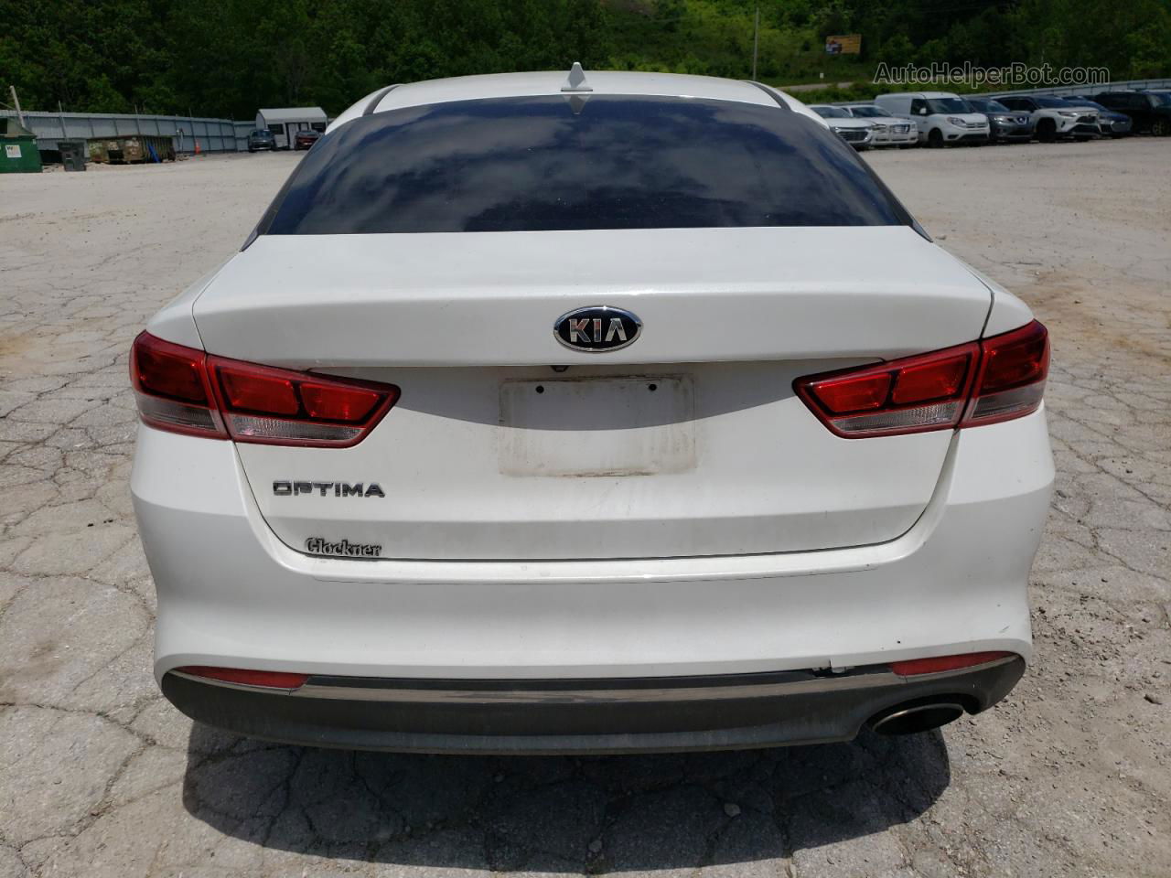 2016 Kia Optima Lx Белый vin: 5XXGT4L37GG082725