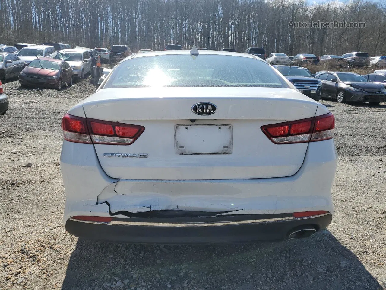 2017 Kia Optima Lx Белый vin: 5XXGT4L37HG157053