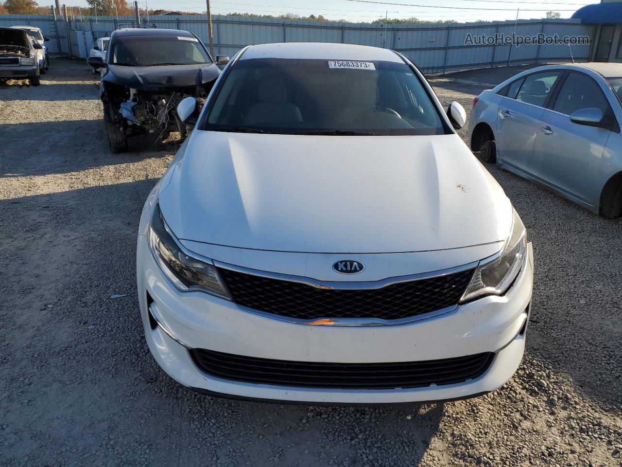 2016 Kia Optima Lx Белый vin: 5XXGT4L38GG006835