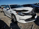 2017 Kia Optima Lx White vin: 5XXGT4L38HG119184