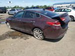 2016 Kia Optima Lx Purple vin: 5XXGT4L3XGG021613