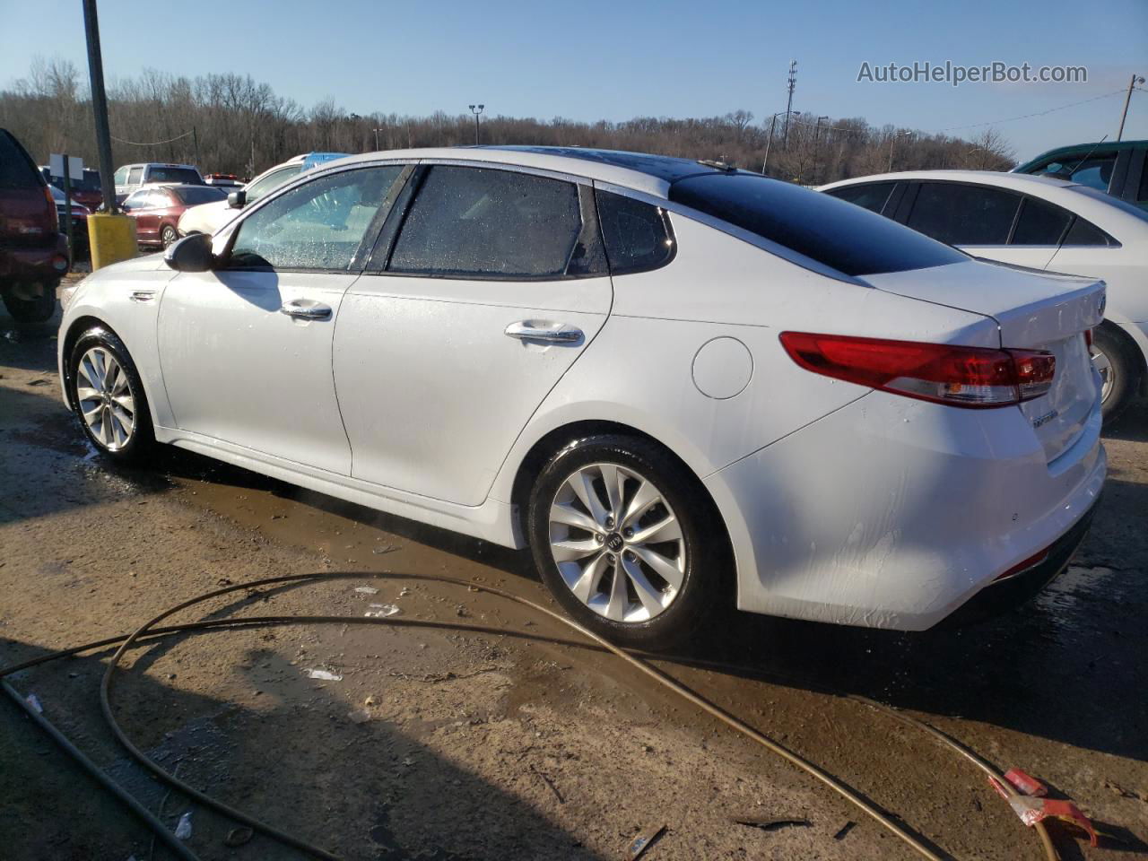 2016 Kia Optima Ex Белый vin: 5XXGU4L35GG012217