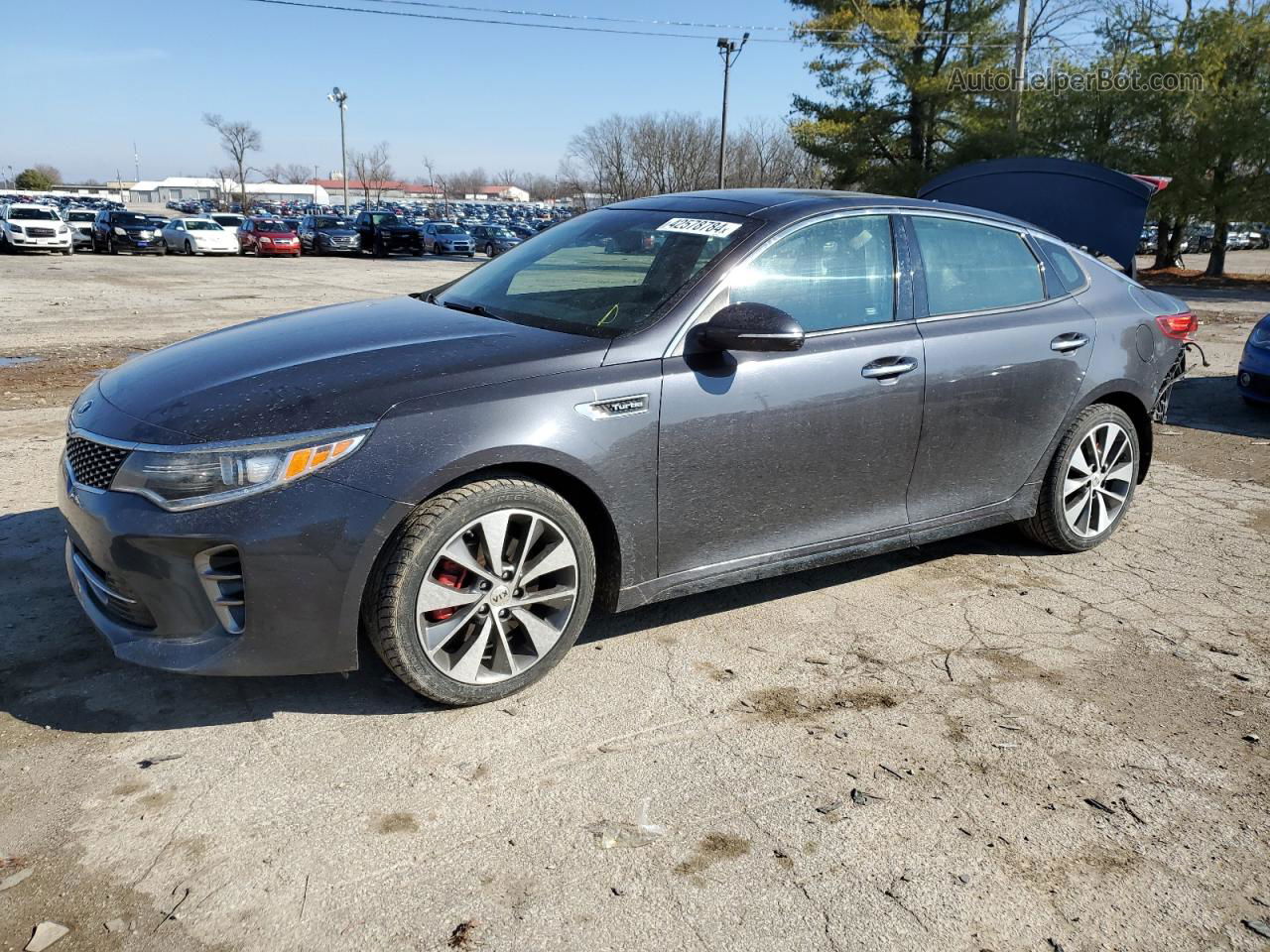 2016 Kia Optima Sx Gray vin: 5XXGW4L2XGG095368