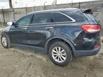 2017 Kia Sorento Lx Black vin: 5XYPG4A31HG199575