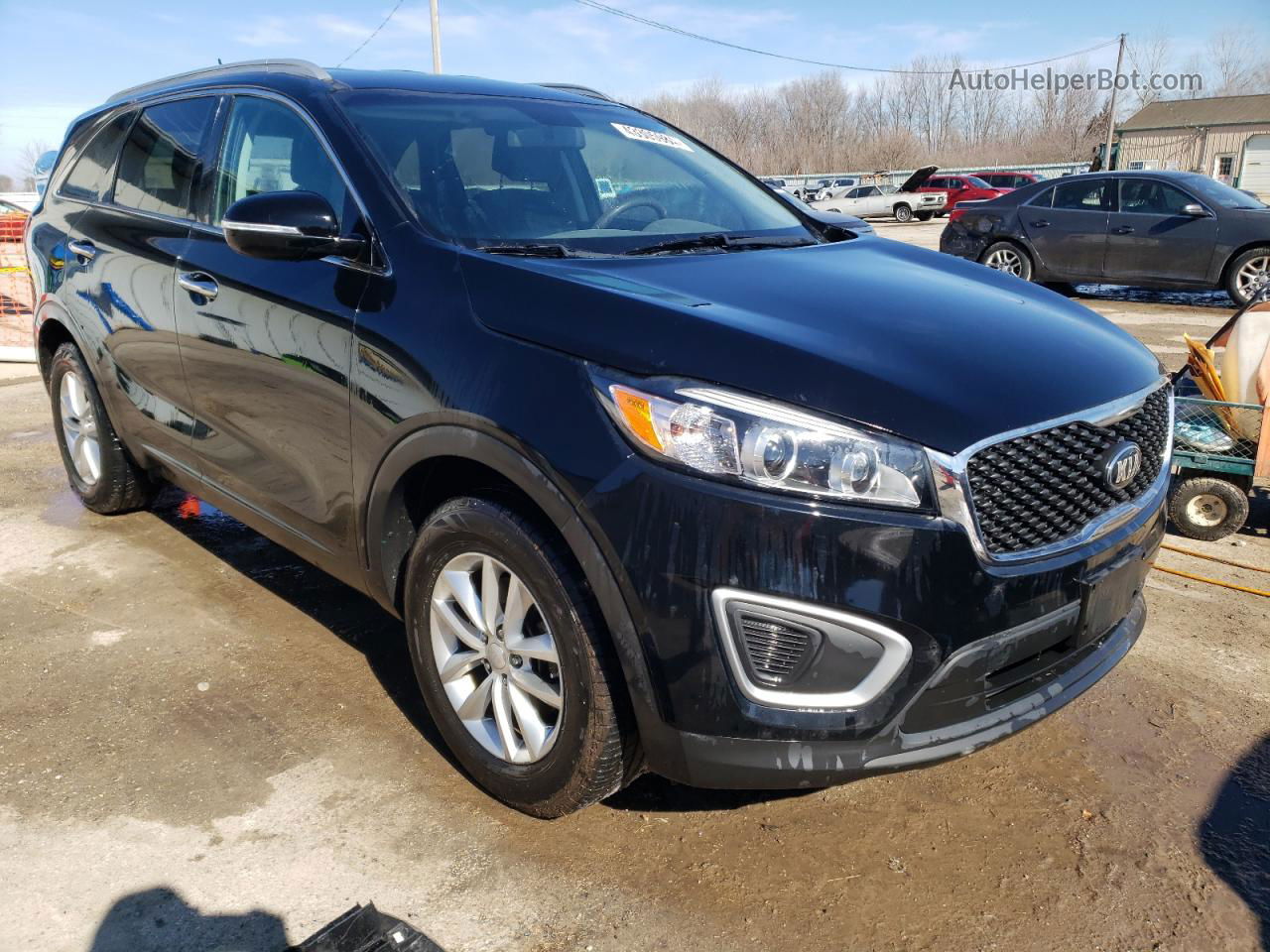 2017 Kia Sorento Lx Black vin: 5XYPG4A31HG209781