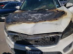 2017 Kia Sorento Lx Burn vin: 5XYPG4A33HG257802