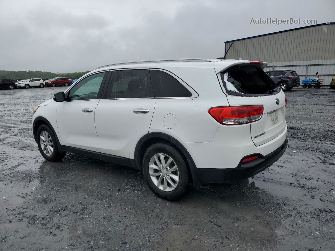 2017 Kia Sorento Lx Белый vin: 5XYPG4A34HG273748