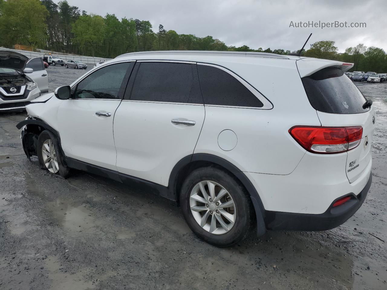 2017 Kia Sorento Lx Белый vin: 5XYPG4A35HG260331