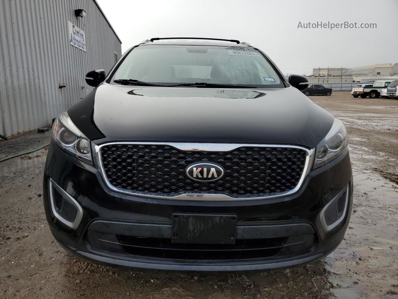 2017 Kia Sorento Lx Black vin: 5XYPG4A3XHG238194