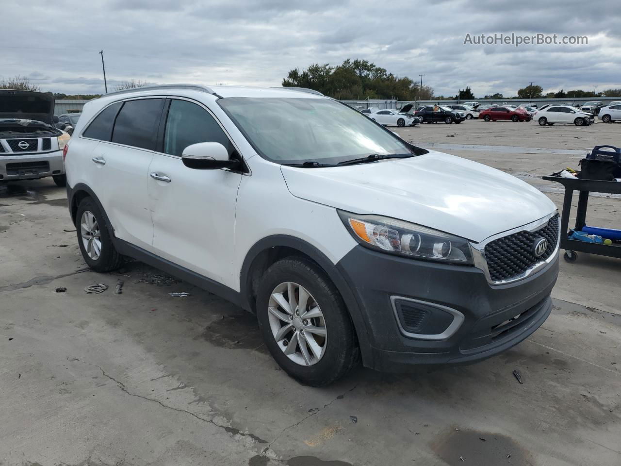 2017 Kia Sorento Lx Белый vin: 5XYPG4A57HG195337