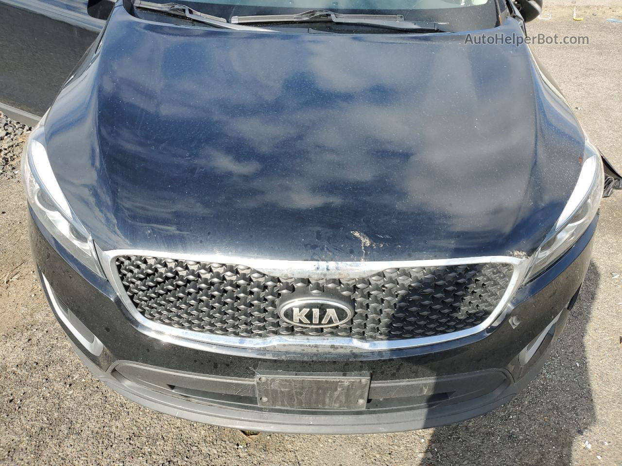 2017 Kia Sorento Lx Black vin: 5XYPGDA32HG282514