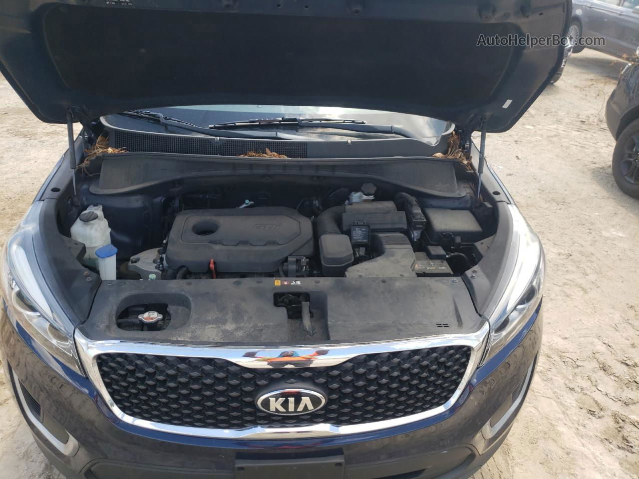 2017 Kia Sorento Lx Синий vin: 5XYPGDA38HG336611