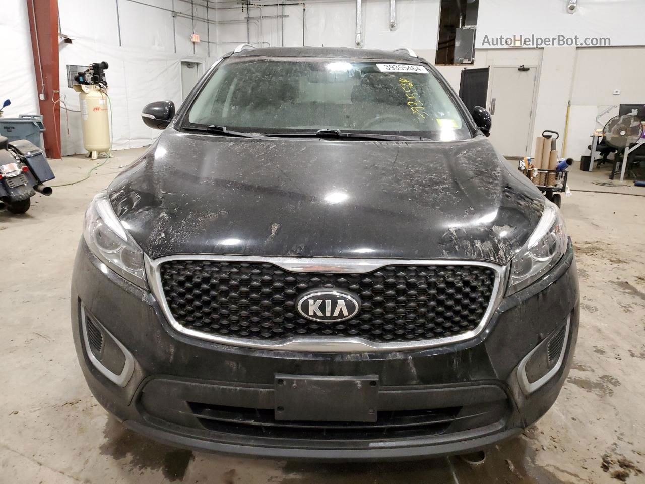 2017 Kia Sorento Lx Black vin: 5XYPGDA3XHG265136