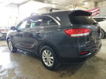 2017 Kia Sorento Lx Gray vin: 5XYPGDA51HG328030