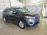 2017 Kia Sorento Lx Gray vin: 5XYPGDA51HG328030