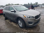 2017 Kia Sorento 3.3l Lx Gray vin: 5XYPGDA52HG197965