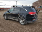 2017 Kia Sorento Lx Black vin: 5XYPGDA53HG337053