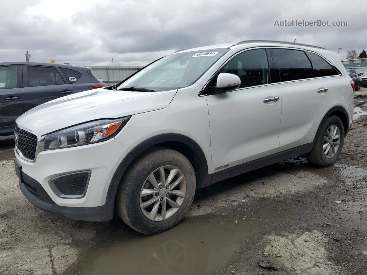 2017 Kia Sorento Lx White vin: 5XYPGDA55HG214919