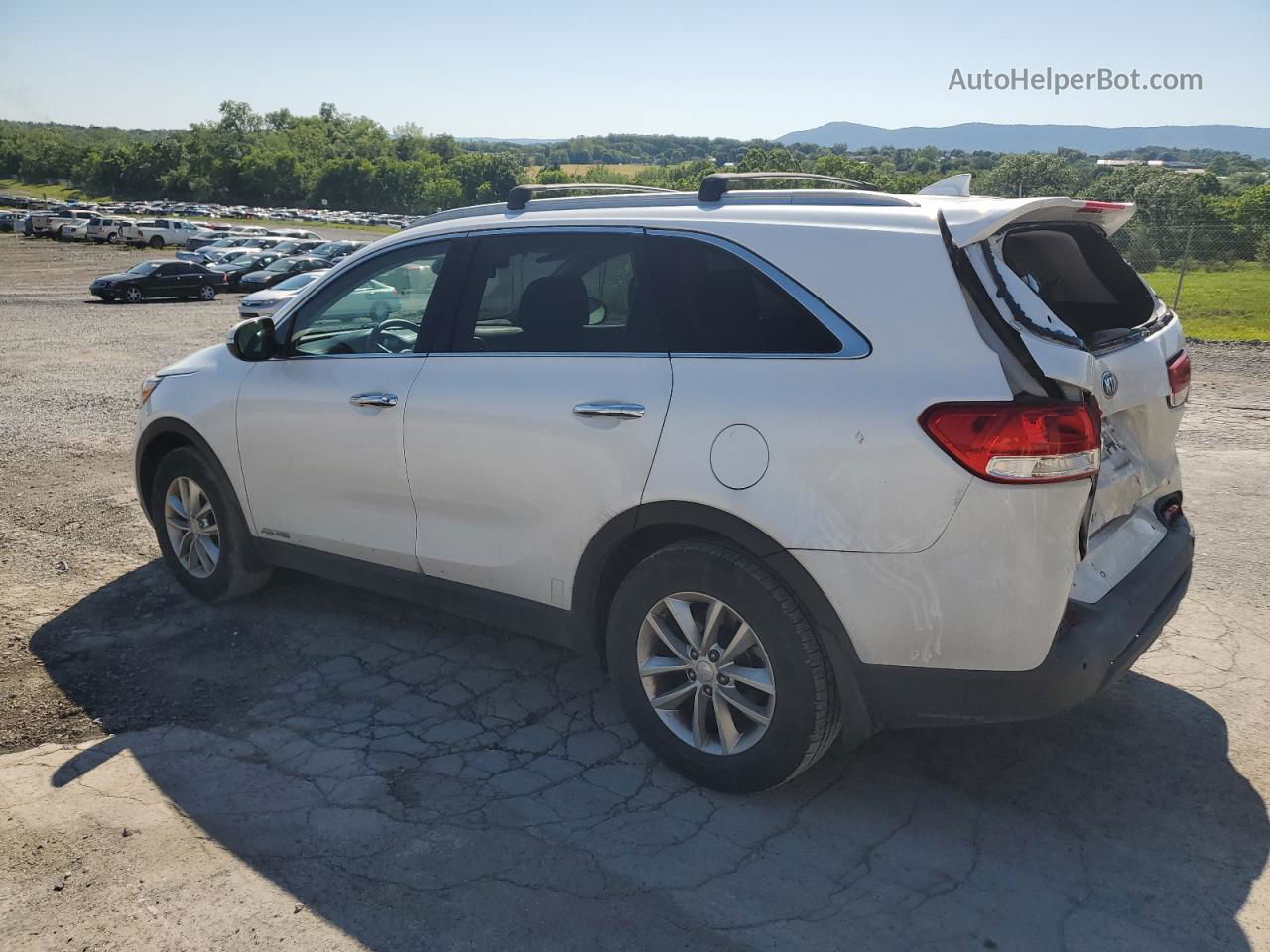 2017 Kia Sorento Lx White vin: 5XYPGDA59HG203745