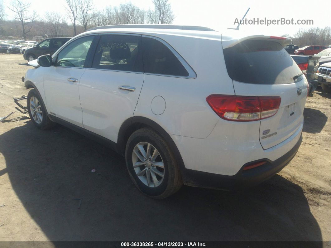 2017 Kia Sorento Lx V6 White vin: 5XYPGDA5XHG219064