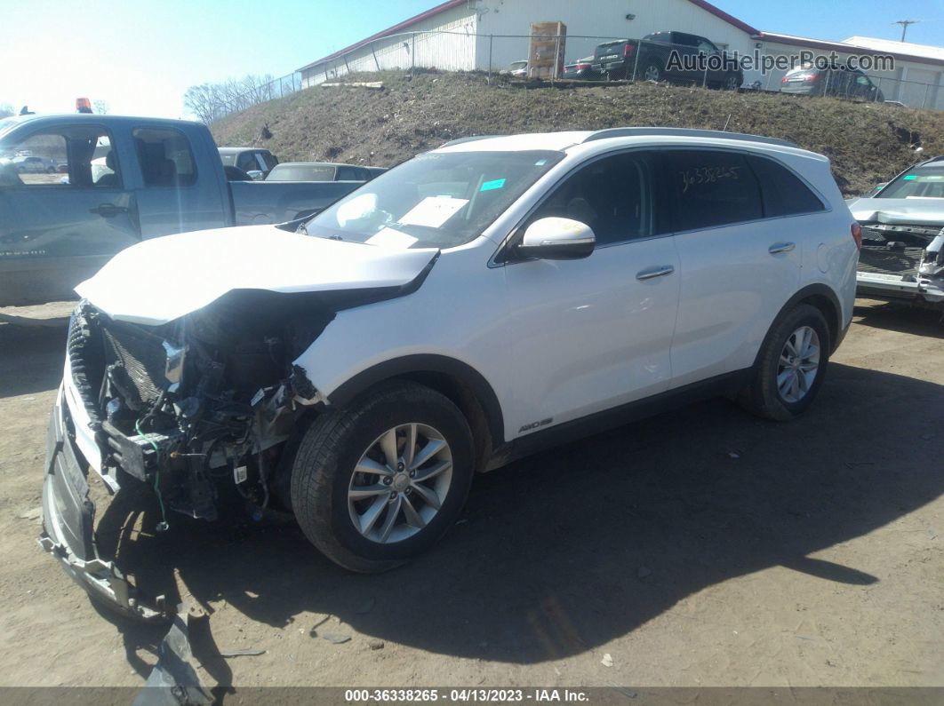 2017 Kia Sorento Lx V6 White vin: 5XYPGDA5XHG219064