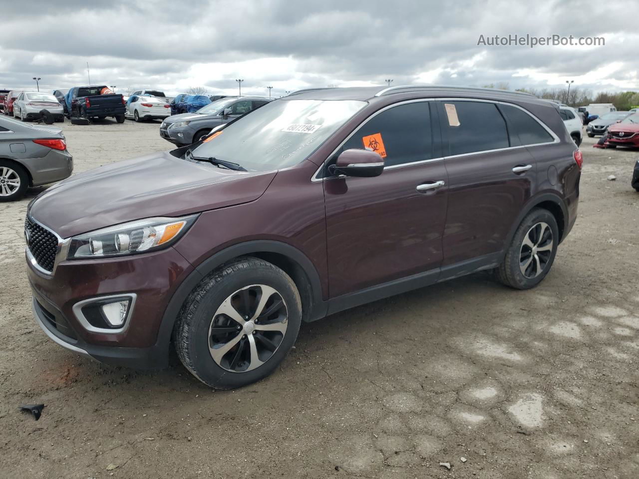 2017 Kia Sorento Ex Purple vin: 5XYPH4A54HG320274