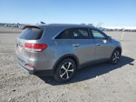 2017 Kia Sorento Ex Tan vin: 5XYPHDA57HG304473