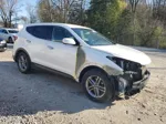 2018 Hyundai Santa Fe Sport  White vin: 5XYZT3LB1JG573319