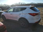 2013 Hyundai Santa Fe Sport  White vin: 5XYZT3LB3DG017274