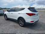 2018 Hyundai Santa Fe Sport 2.4l White vin: 5XYZT3LB3JG566663