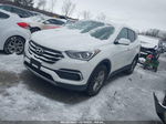 2018 Hyundai Santa Fe Sport 2.4l White vin: 5XYZT3LB3JG571703